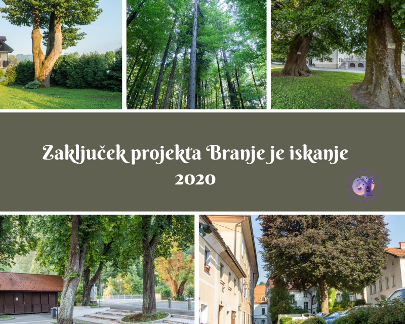 Zaključek projekta Branje je iskanje