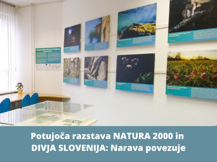 Potujoča razstava NATURA 2000 in Divja Slovenija: Narava povezuje