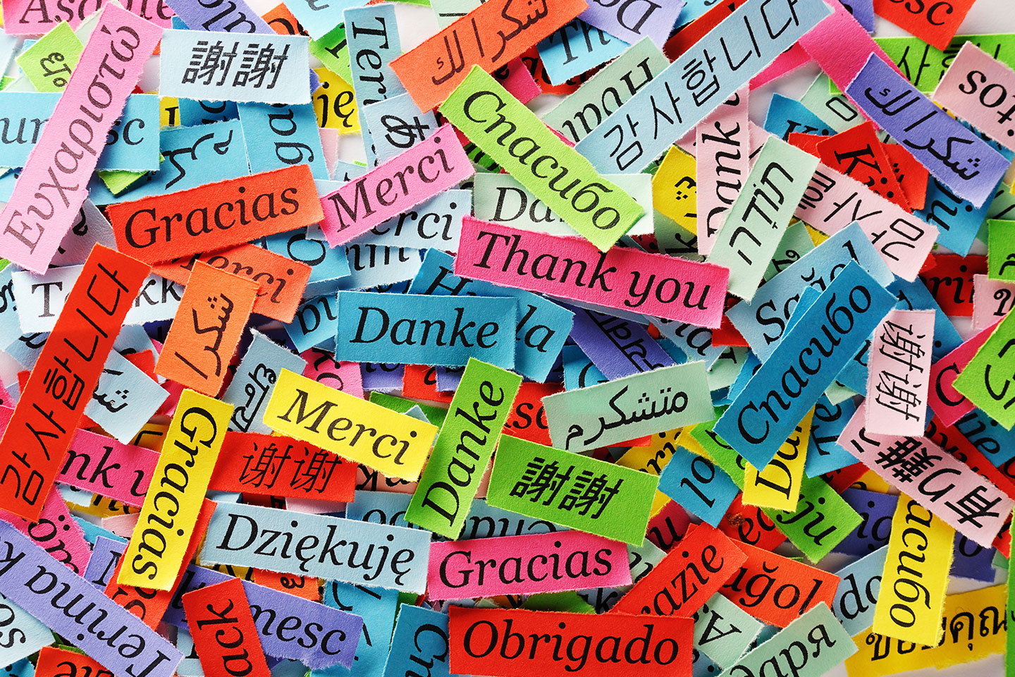 Tečaji slovenskega jezika | Slovenian language courses | Курси словенської мови